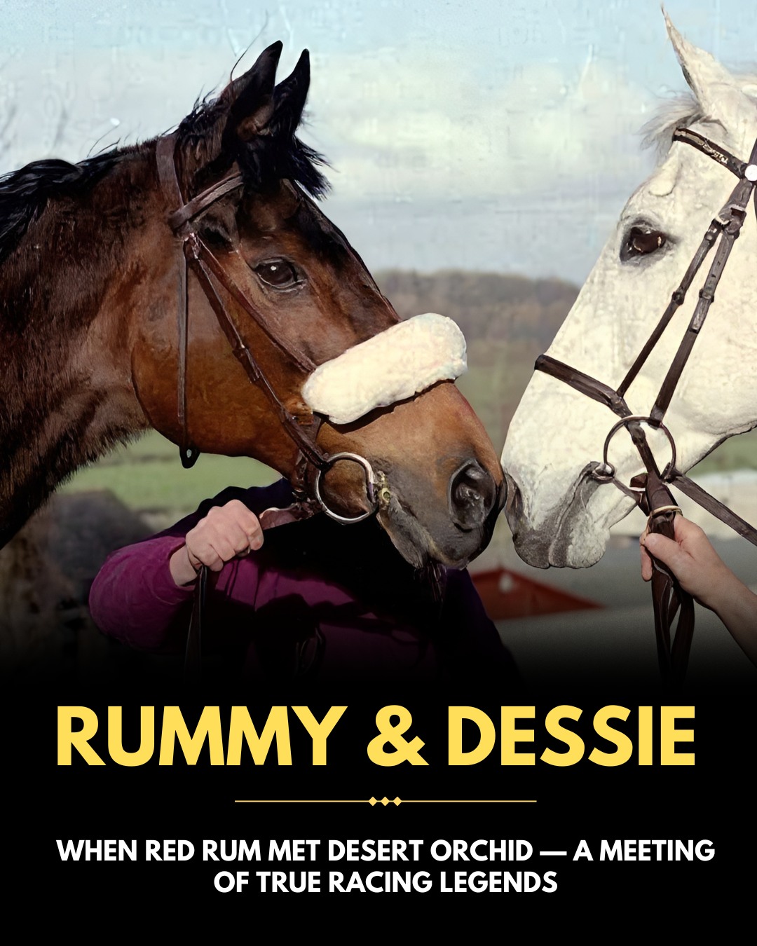 Red Rum and Desert Orchid — a... - Grand National Guide | Facebook