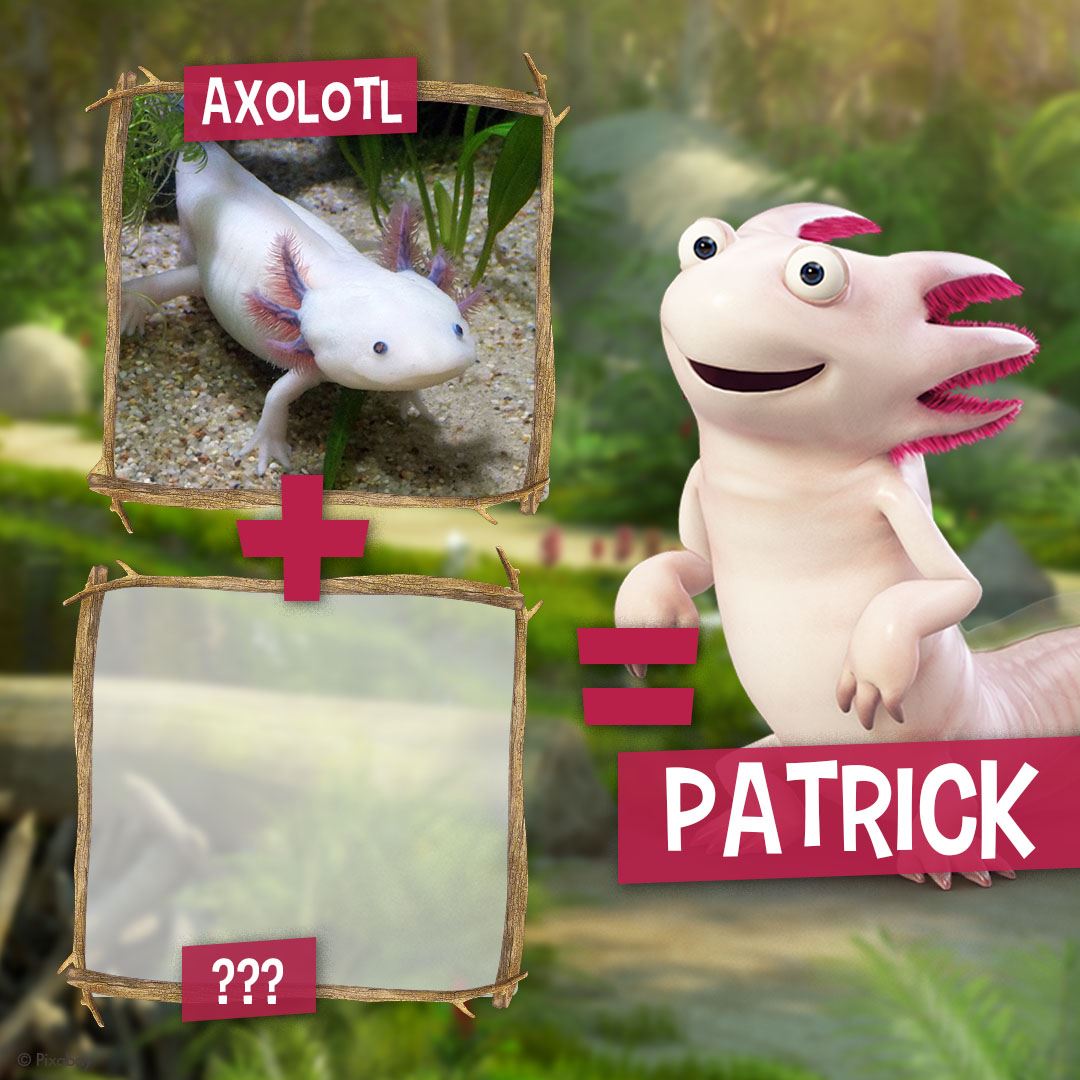 Patrick As De La Jungle Quel Animal