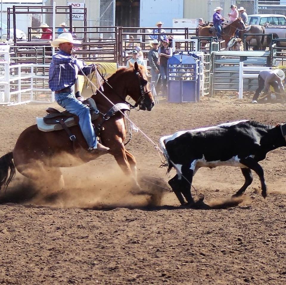 Three Triangle Ranch | Tilley AB