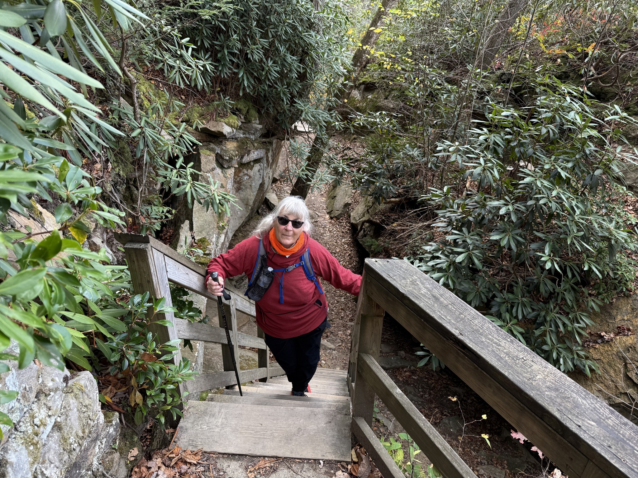 Wandering - The Alum Cave Loop Trail is a family friendly 3 mile loop ...