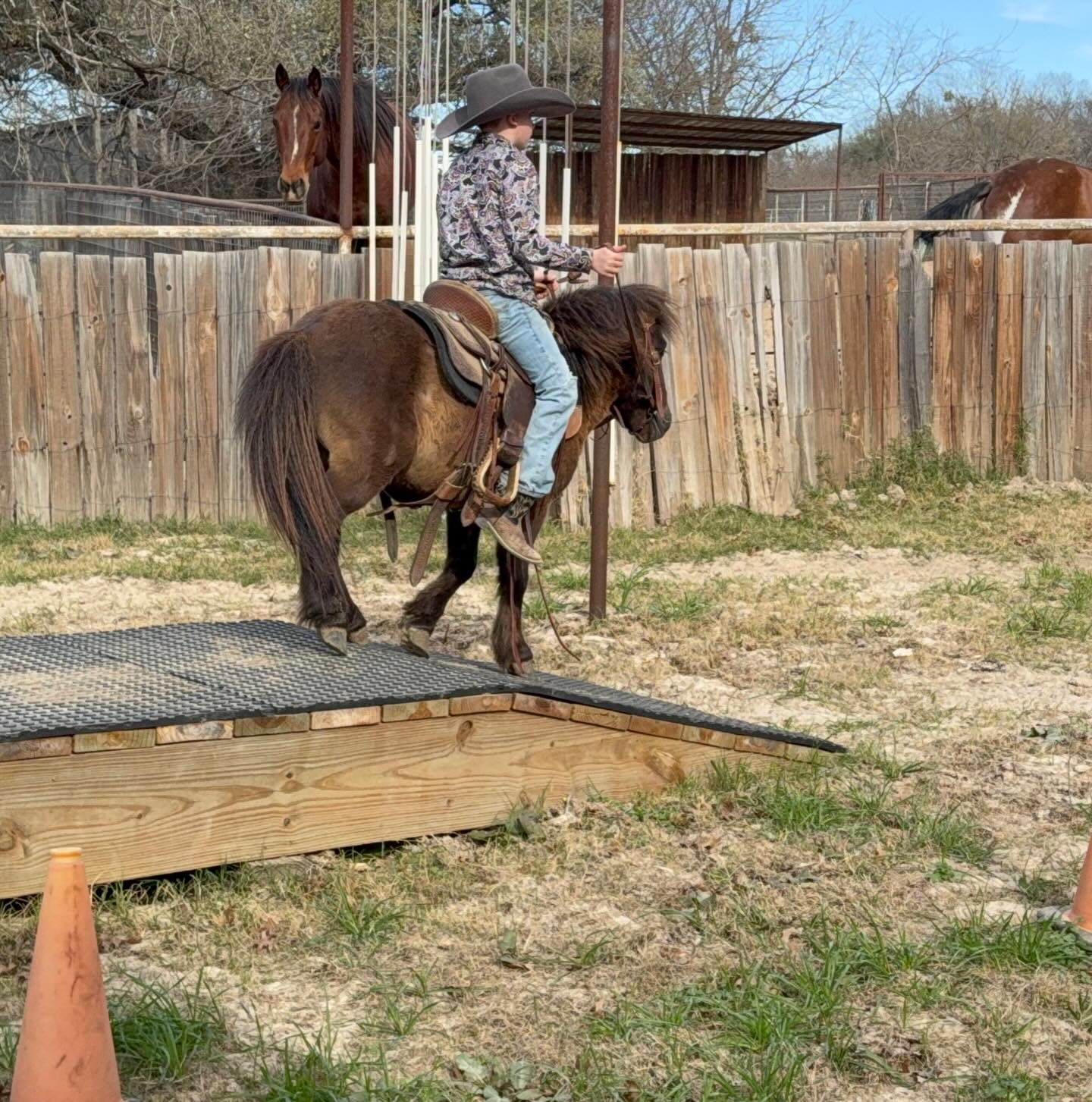 TnT Ranch & Tom Davis... - TnT Ranch & Tom Davis Horsemanship