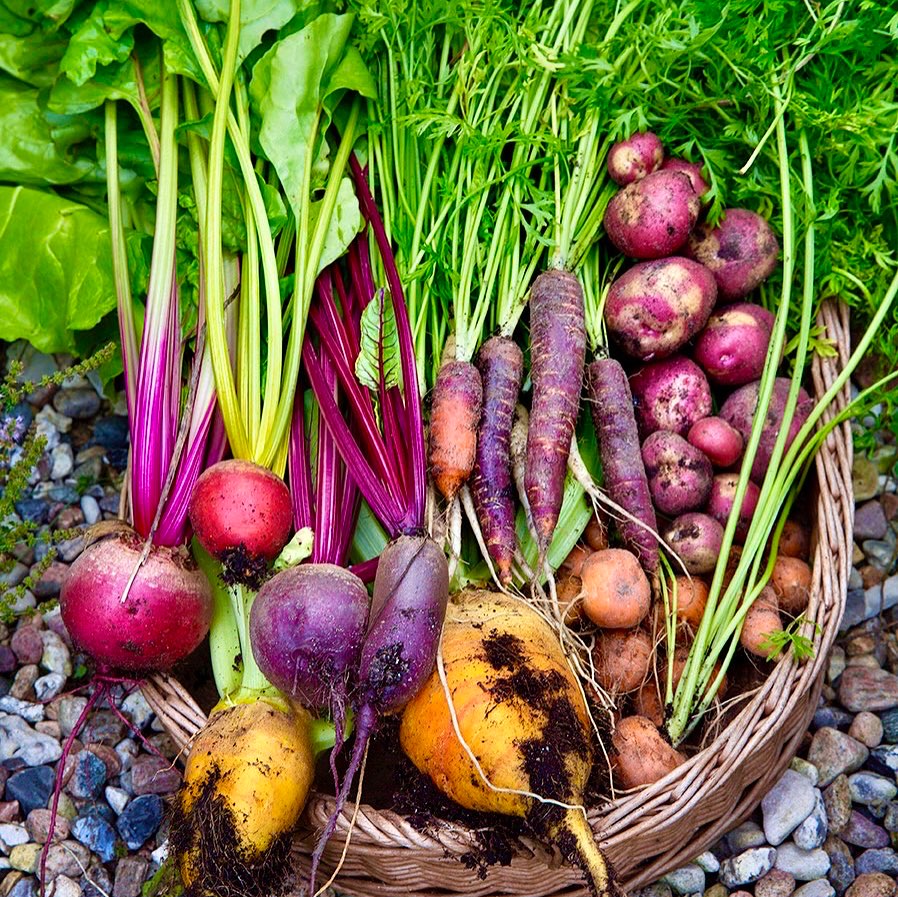 Humans Who Grow Food added a new photo. - Humans Who Grow Food