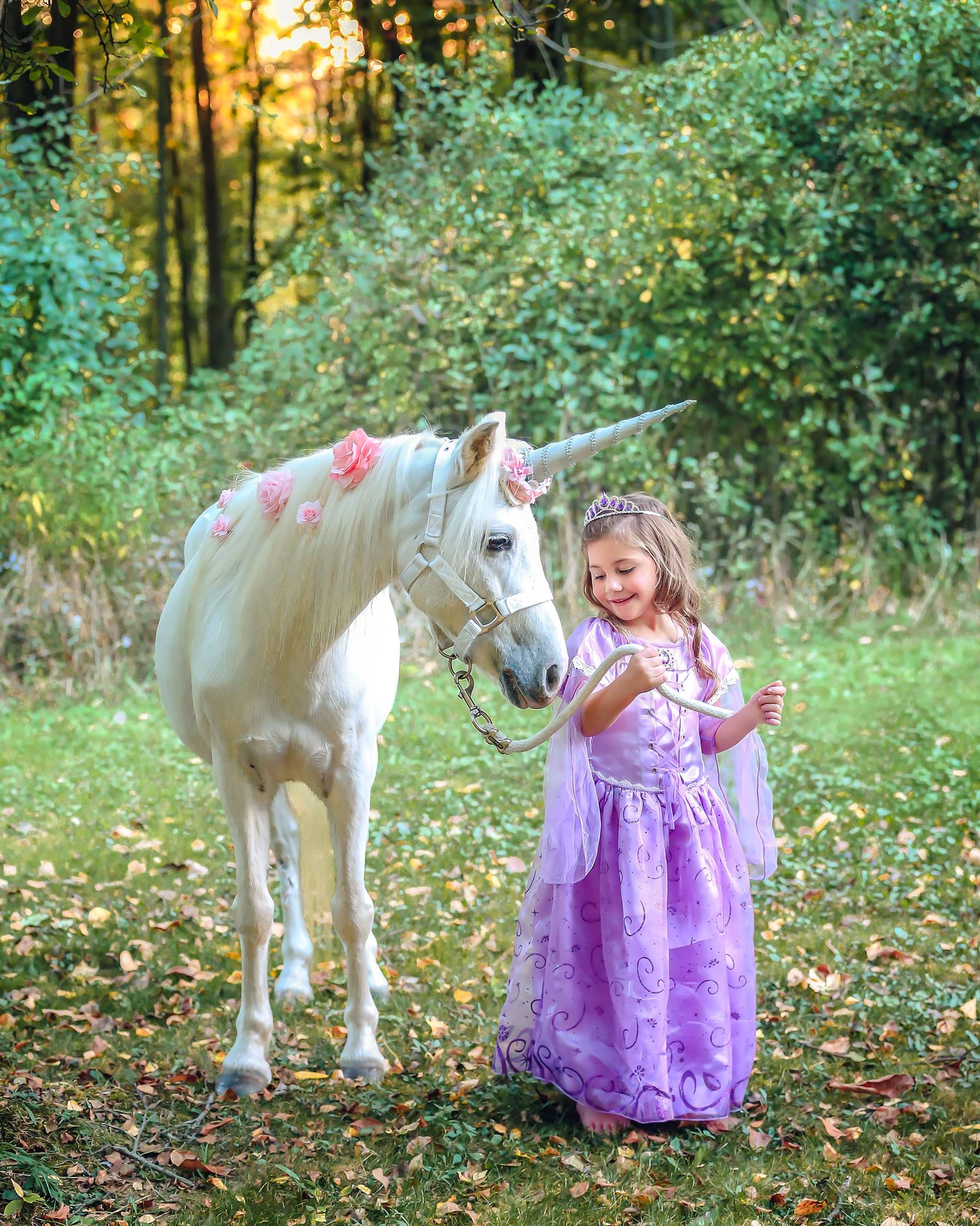Pony Time Ranch and Mobile Petting Zoo | Lowellville OH