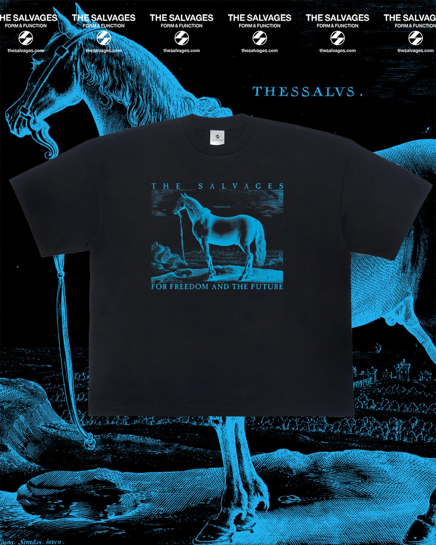The Salvages Reconstructed 
