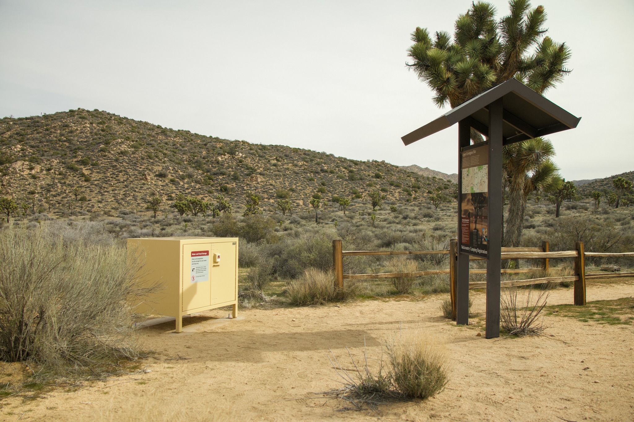 Joshua - There isn't one best spot to watch a sunset at Joshua Tree ...