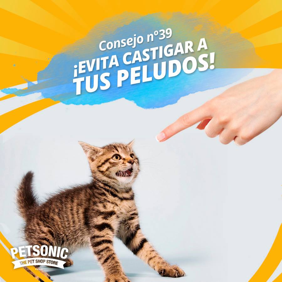 Petsonic - ¡Evita castigar a tus peludos! ☝ Si conoces el...