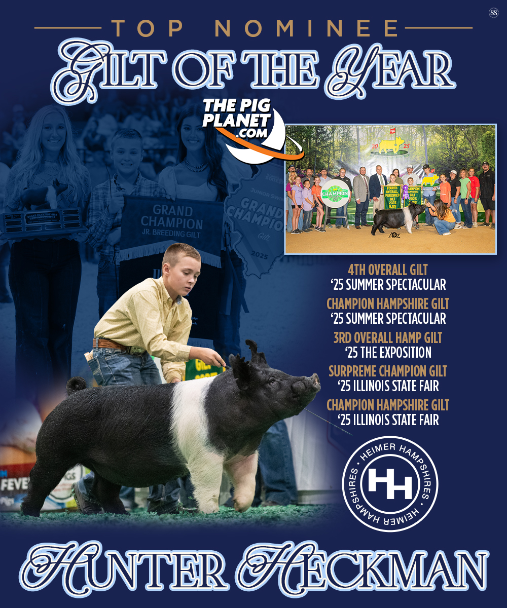 We are honored that TOP GUN is representing the Hampshire breed