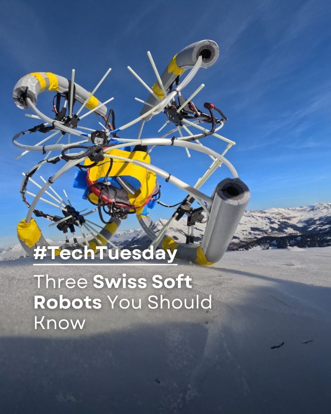 TechTuesday - Meet Switzerland's Soft Robots 🇨🇭🤖 In Swiss