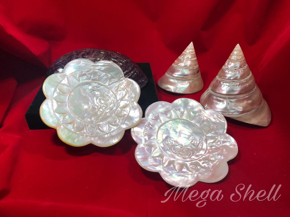 Mega shell - ลวดลายใหม่ มาอัพเดทให้จับจองกันอีกแล้วค่าา...