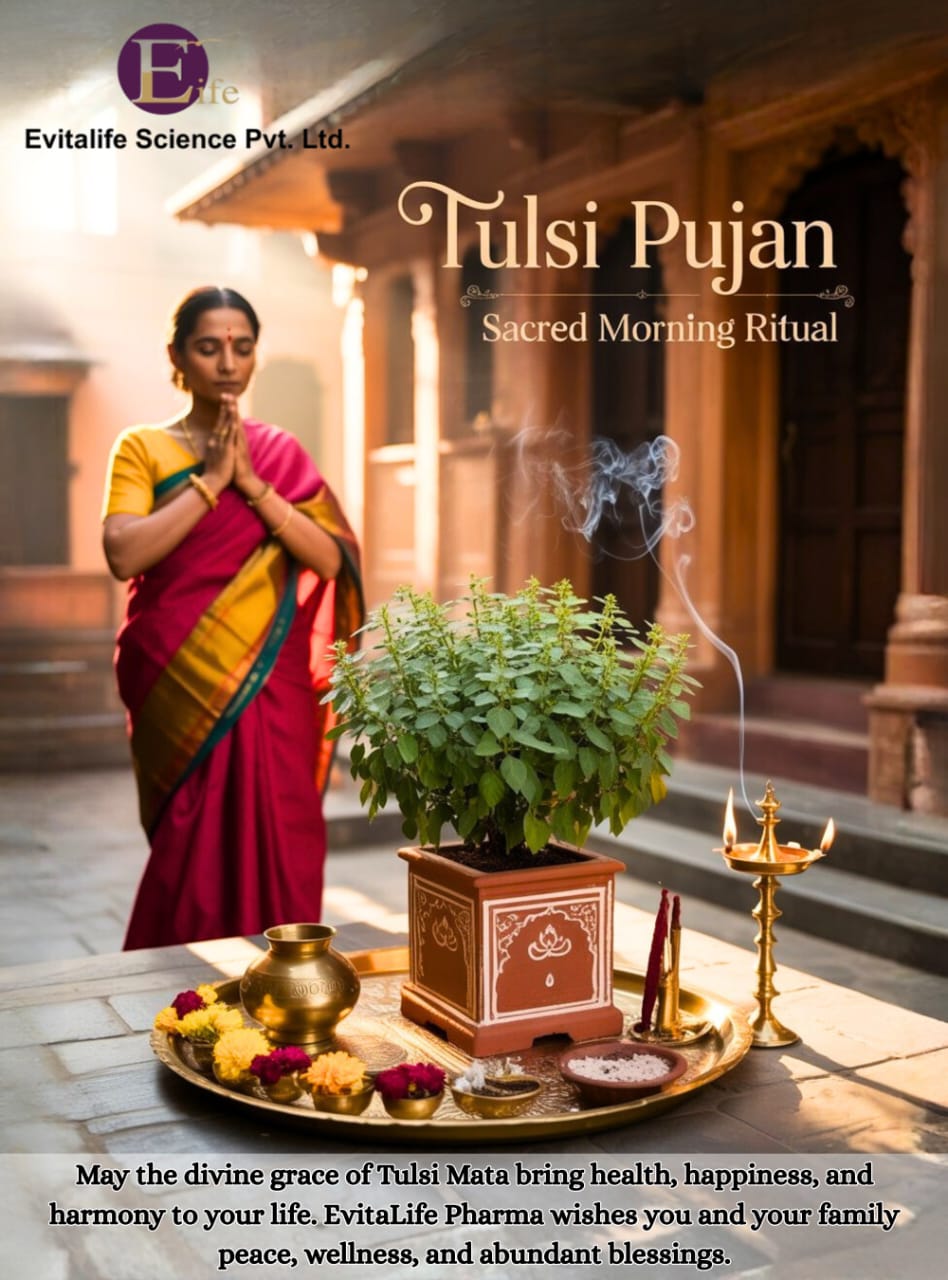 Evitalife - Tulsi Pujan – A Sacred Morning Ritual of Health & Harmony ...