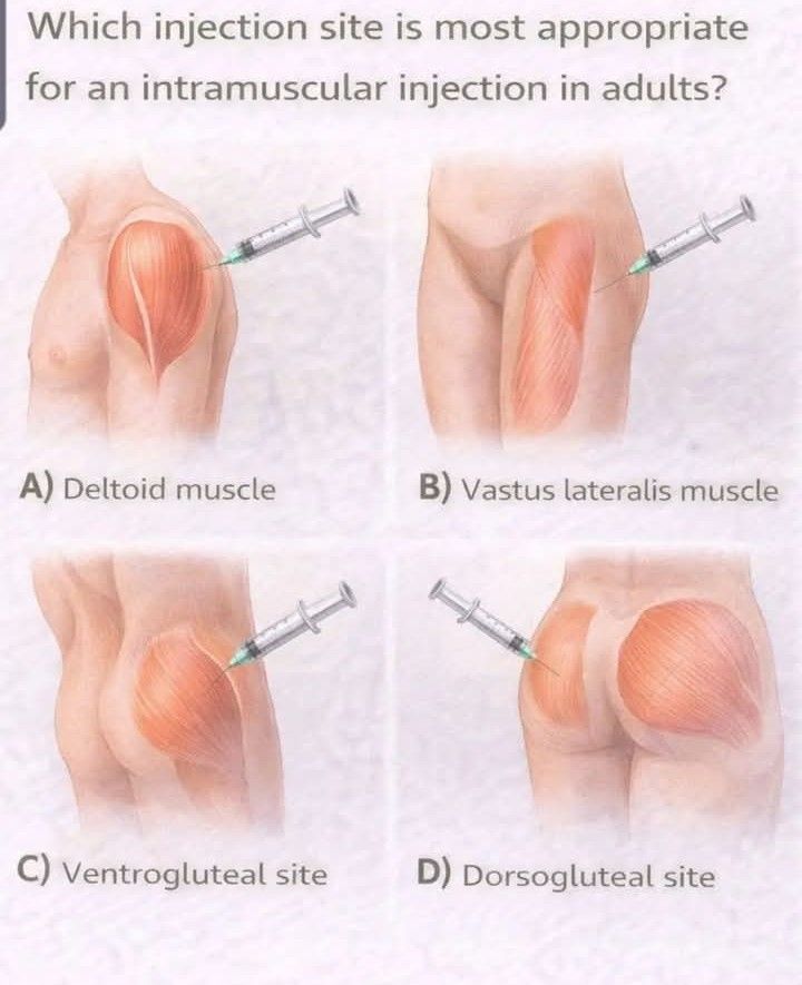 intramuscular thigh vitamin b12 injection site A,B,C,D ? Lipo B12 Injection in Hormones Size:1000 mcg/ml - 10 ml x 2
