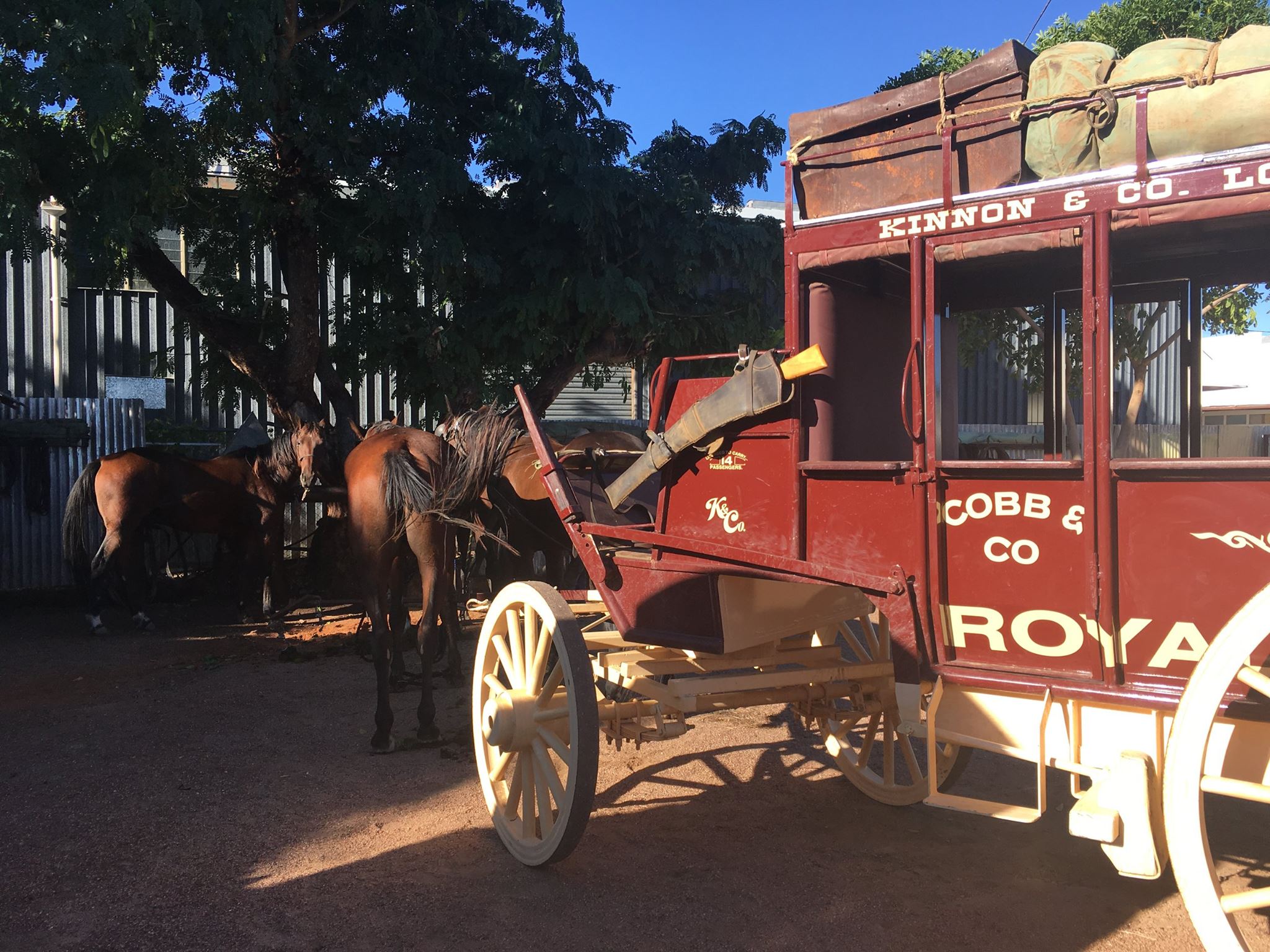 The horses are back in the stables at... - Outback Pioneers