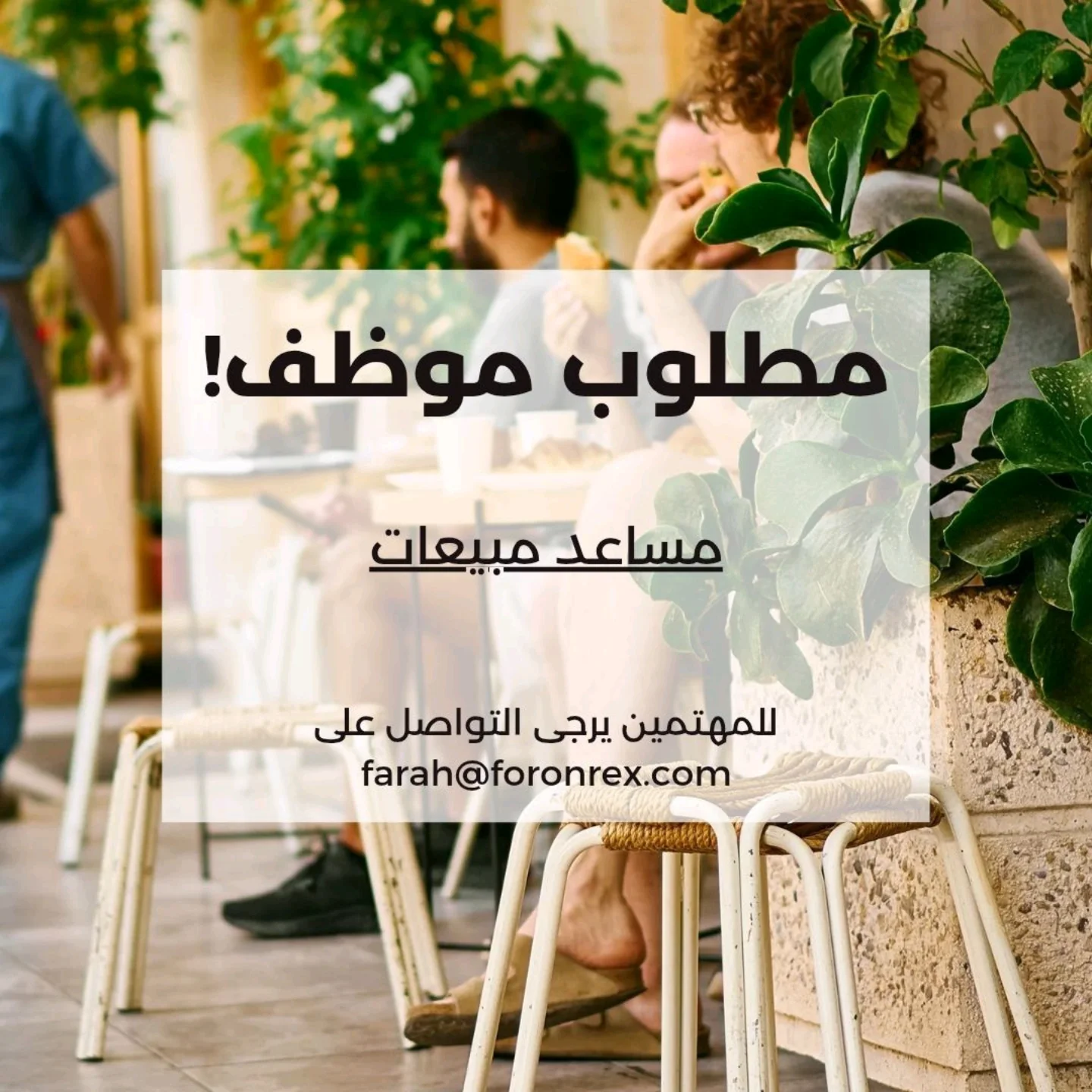 Rex ركس - فرن ركس يعلن عن حاجته لتعيين مساعد مبيعات.... | Facebook