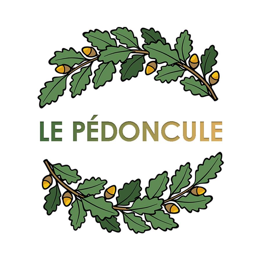 On continue dans l'apprentissage des familles ! Aujourd'hui on se ...