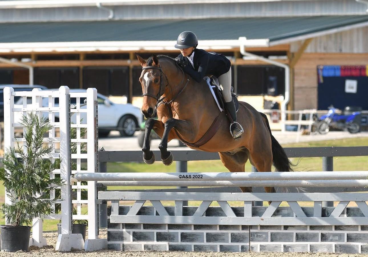 Paramount Show Stables - Congratulations to Paramount rider, Cassidy ...