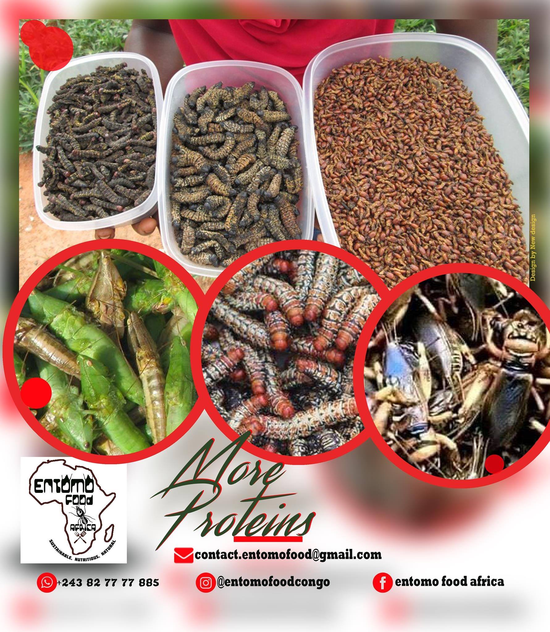 Entomo Foodafrica