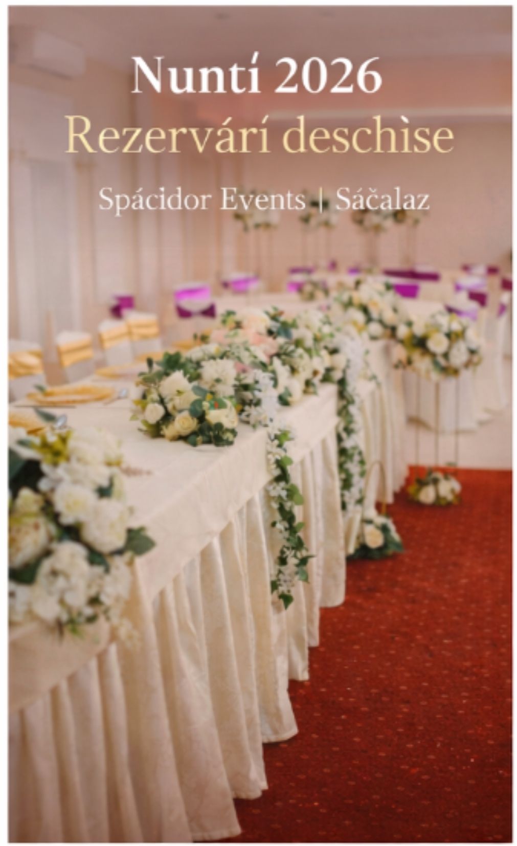 Splendor Events | Sacalaz