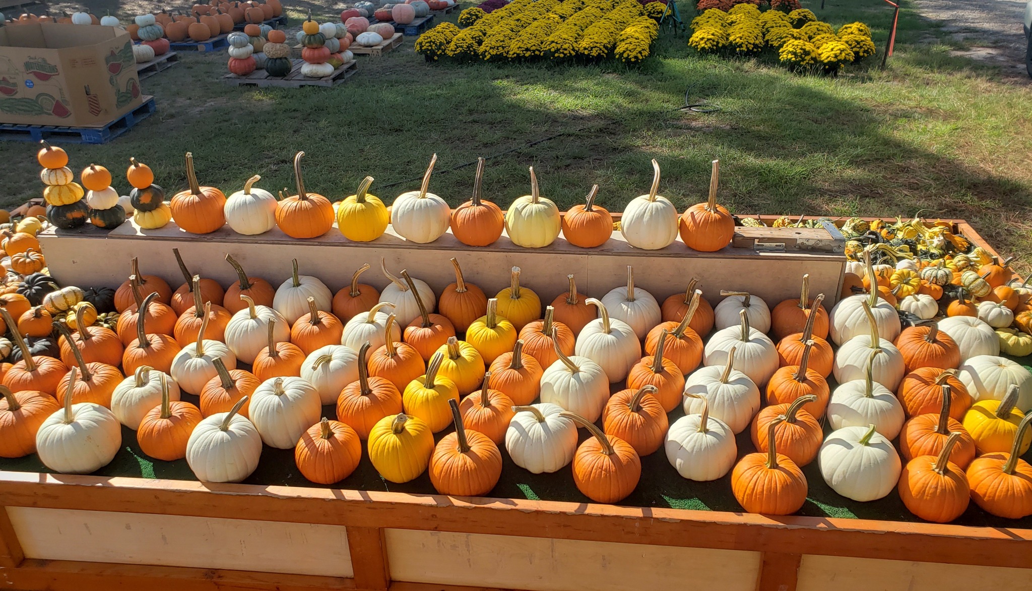 Stone Ridge Farm Market added a... - Stone Ridge Farm Market