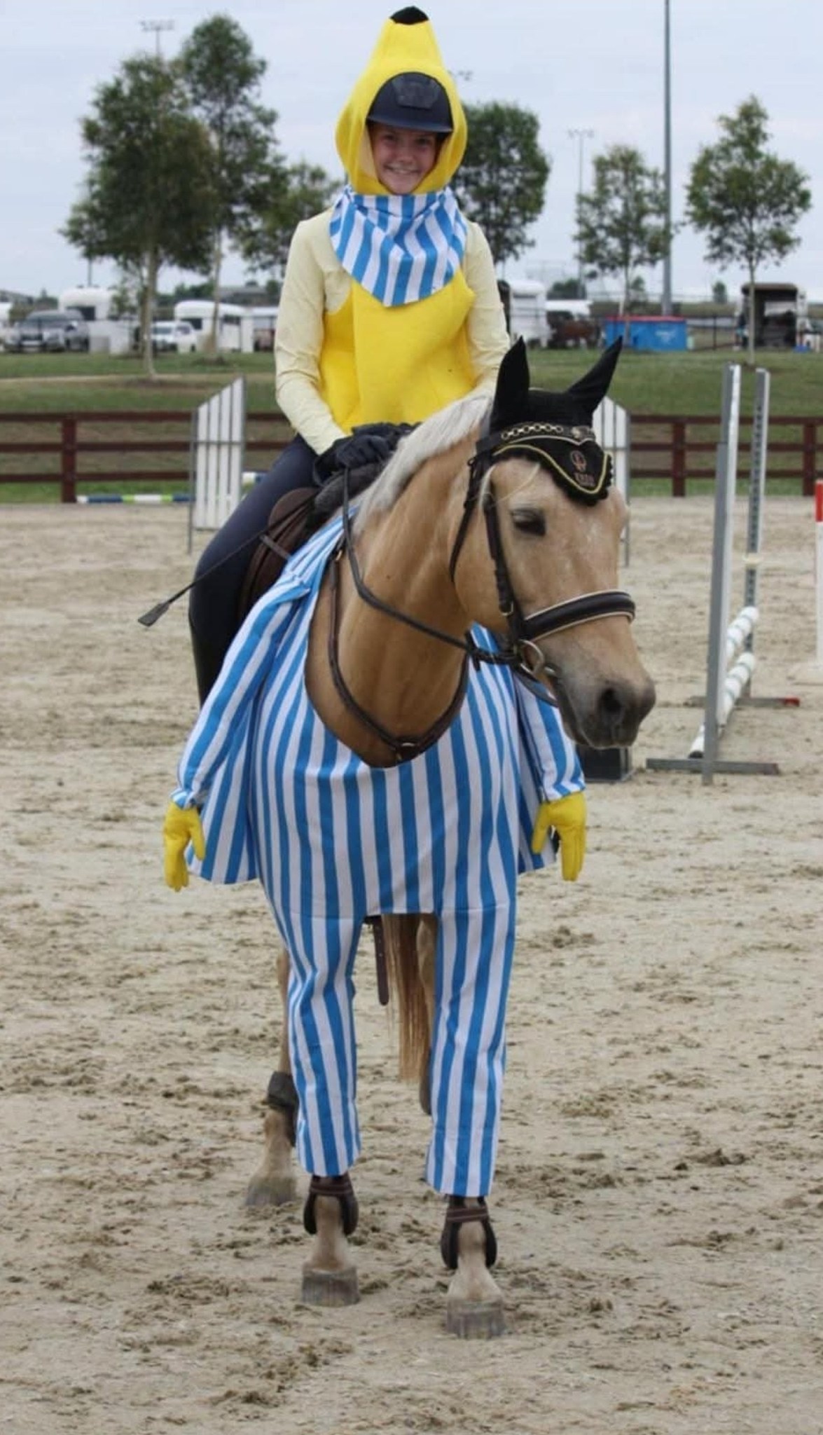 🥸 Sunday's Fun Comp... - North and Northwest Showjumping Club | Facebook