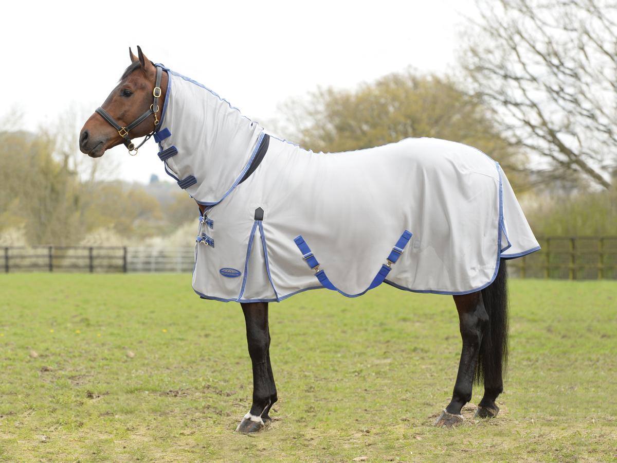 Saddleworld NT - New range of Weatherbeeta Rugs in store now
