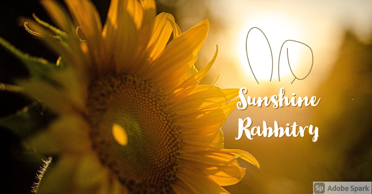Sunshine Rabbitry - Home