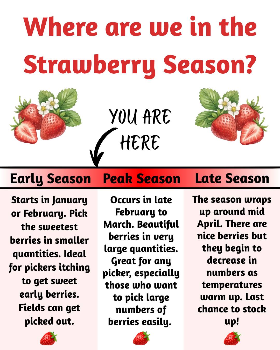 We’re about to enter peak... - Crossroads Farm & Apiary | Facebook
