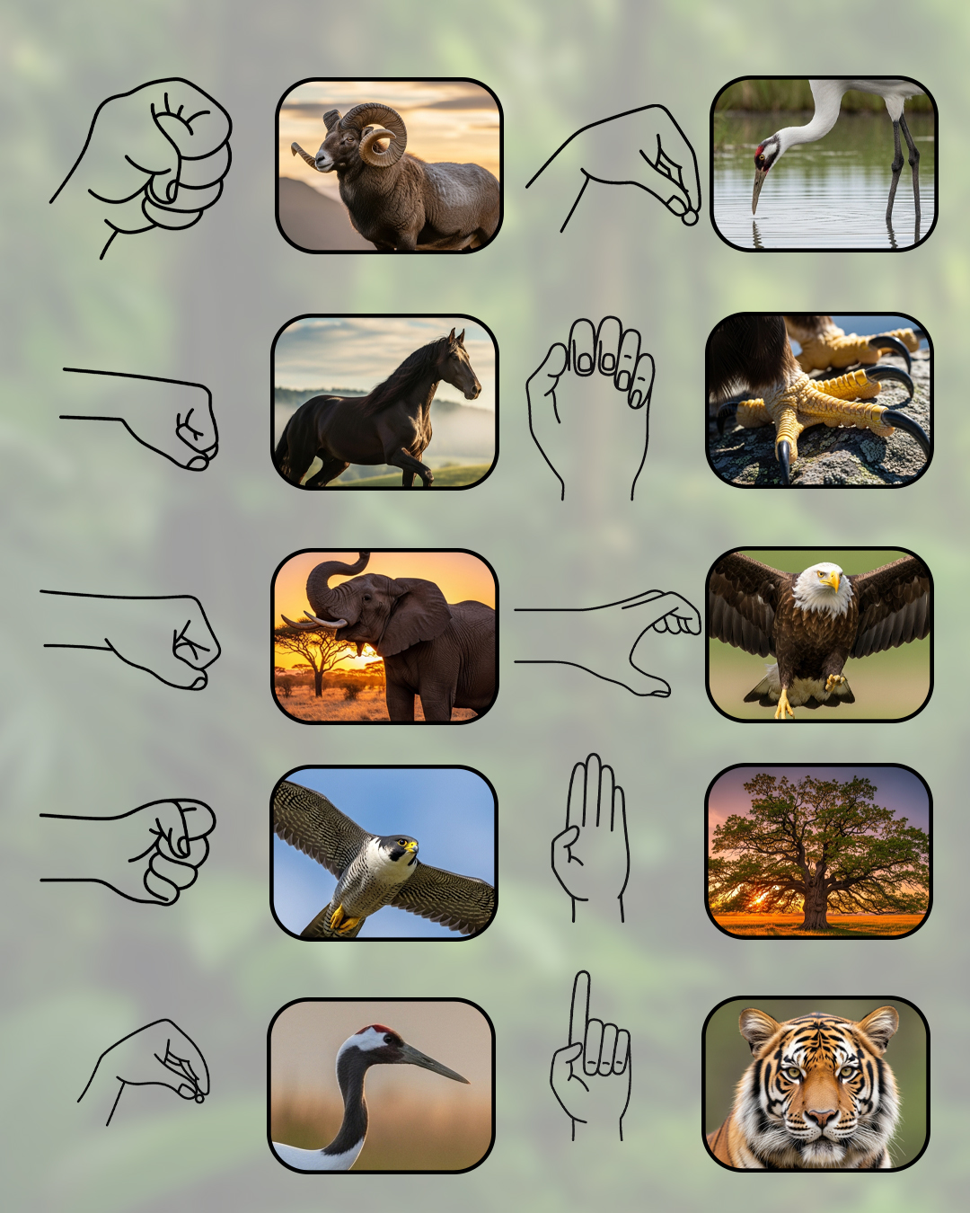 Genius - Hand language inspired by the wild | Facebook