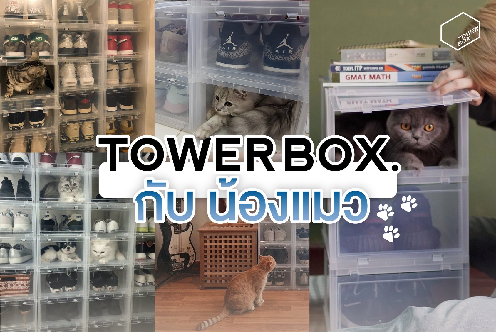 Tower Box - แมวกับกล่องนั้นเป็นของคู่กัน 🐱📦... | Facebook