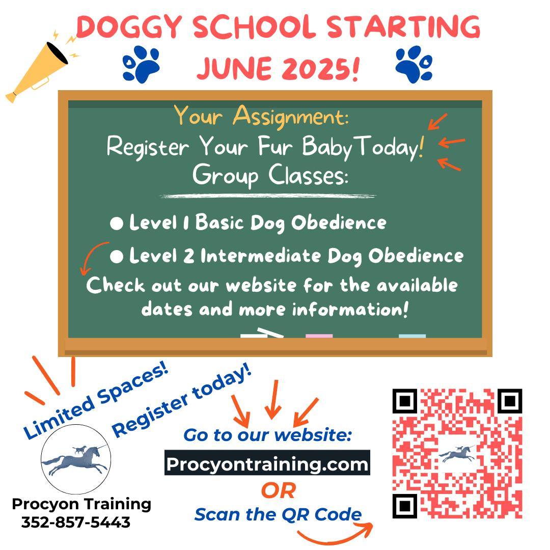 📣🐾 June Training Classes Are Here! 🐶🎓... - Procyon Training | Facebook