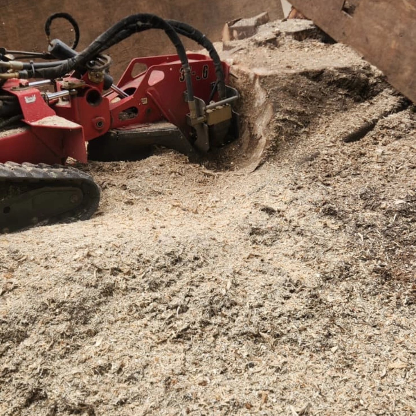 Quality Performance Tree Service,LLC | Tulatin OR