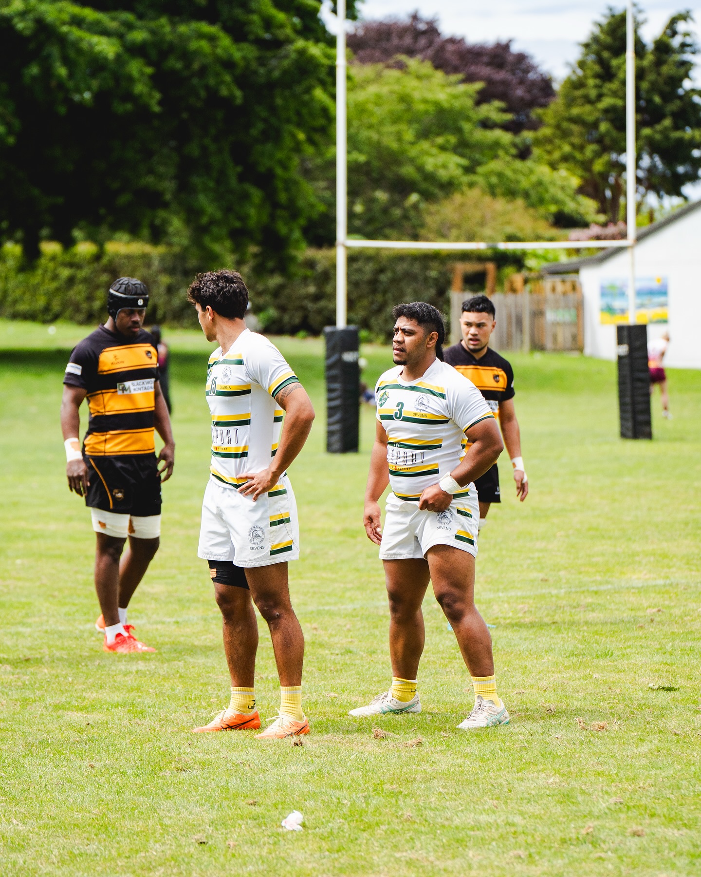 Mount Maunganui Rugby Club... - Mount Maunganui Rugby Club