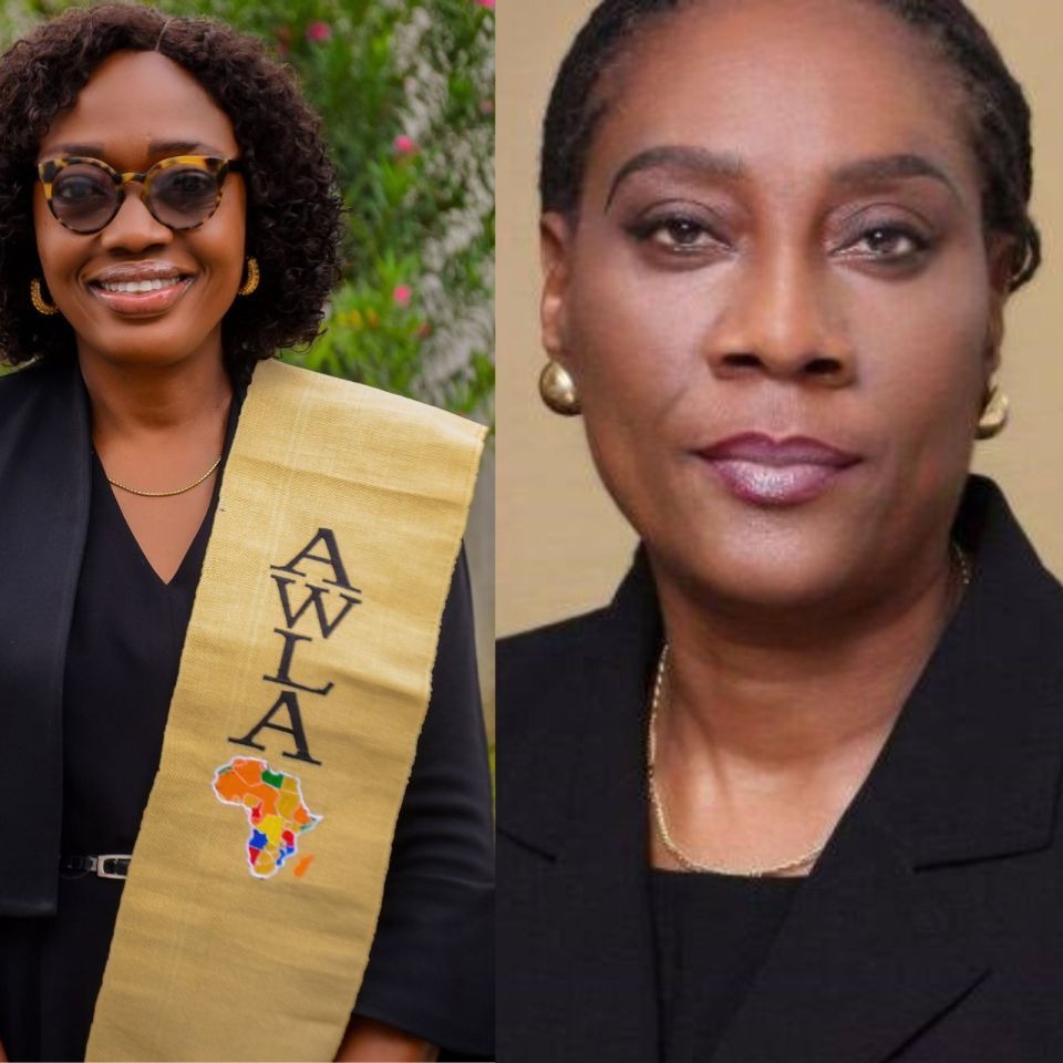 African Women Lawyers Association - AWLA Nigeria | Onipanu