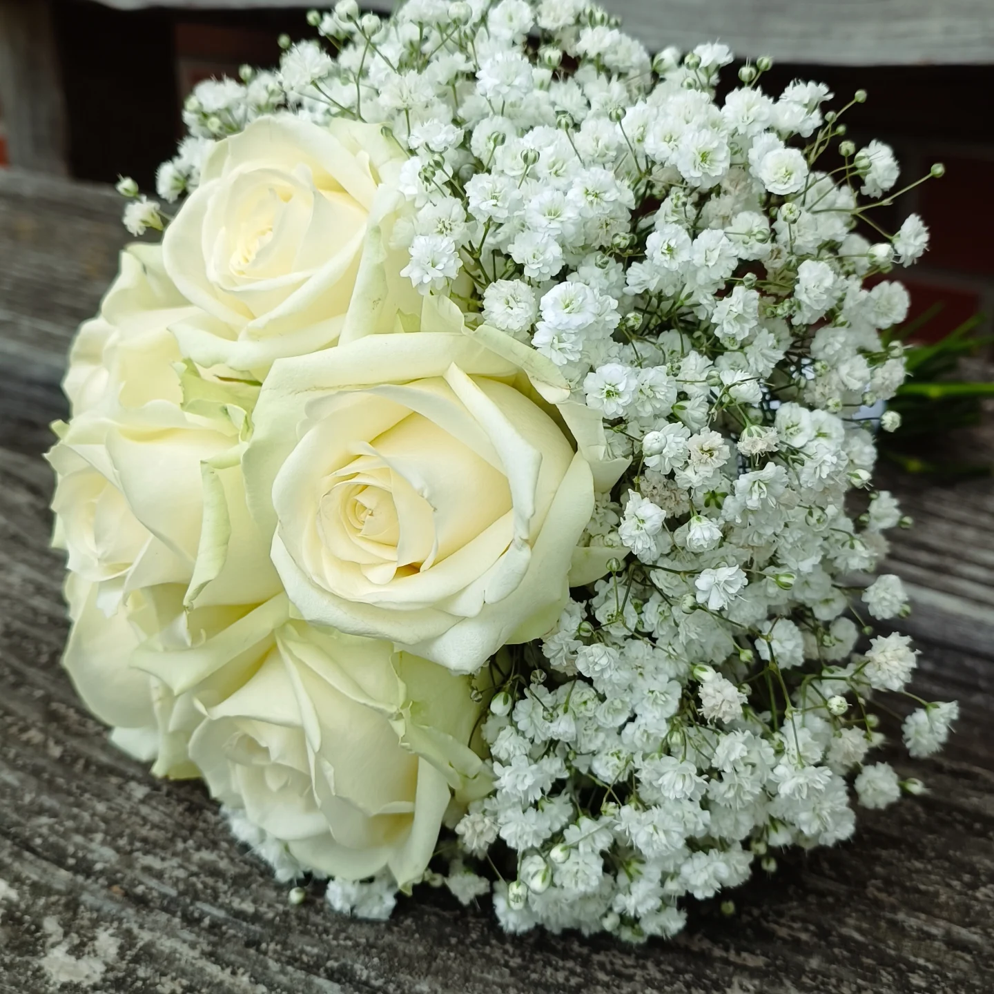 Brautstrauß ganz schlicht 🤍 Weiße Rosen und Schleierkraut . . . HOCHZEIT BLUMEN BRAUTSTRAUSS ROSEN SCHLEIERKRAUT