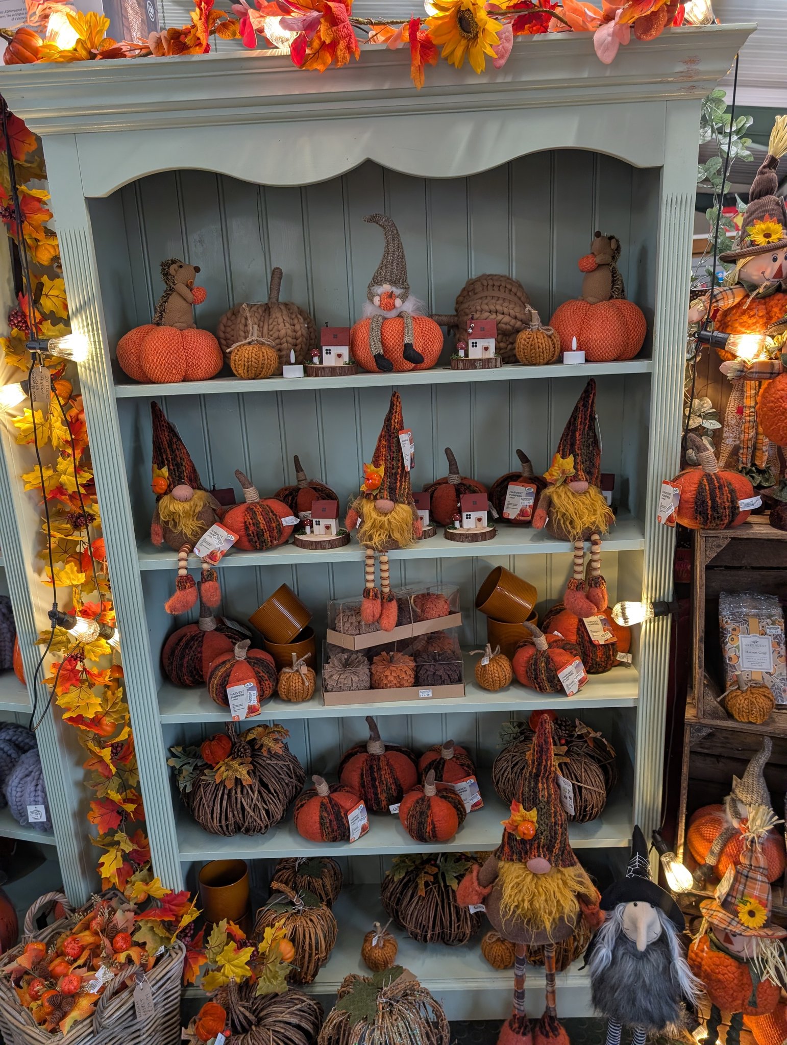 Altnagelvin Garden Centre... - Altnagelvin Garden Centre