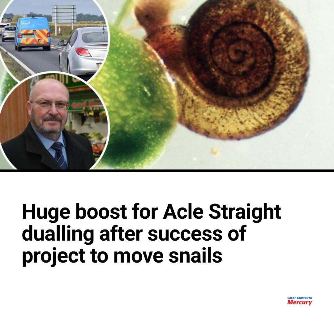 Great - The project to move the snails started a decade ago 🐌 | Facebook