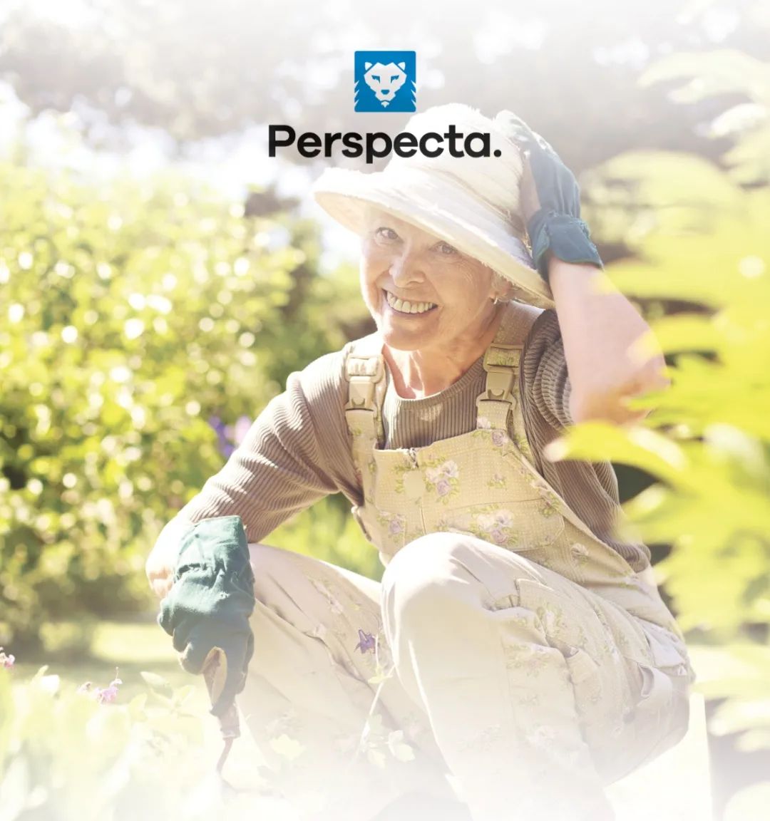 Perspecta Oficial | Querétaro