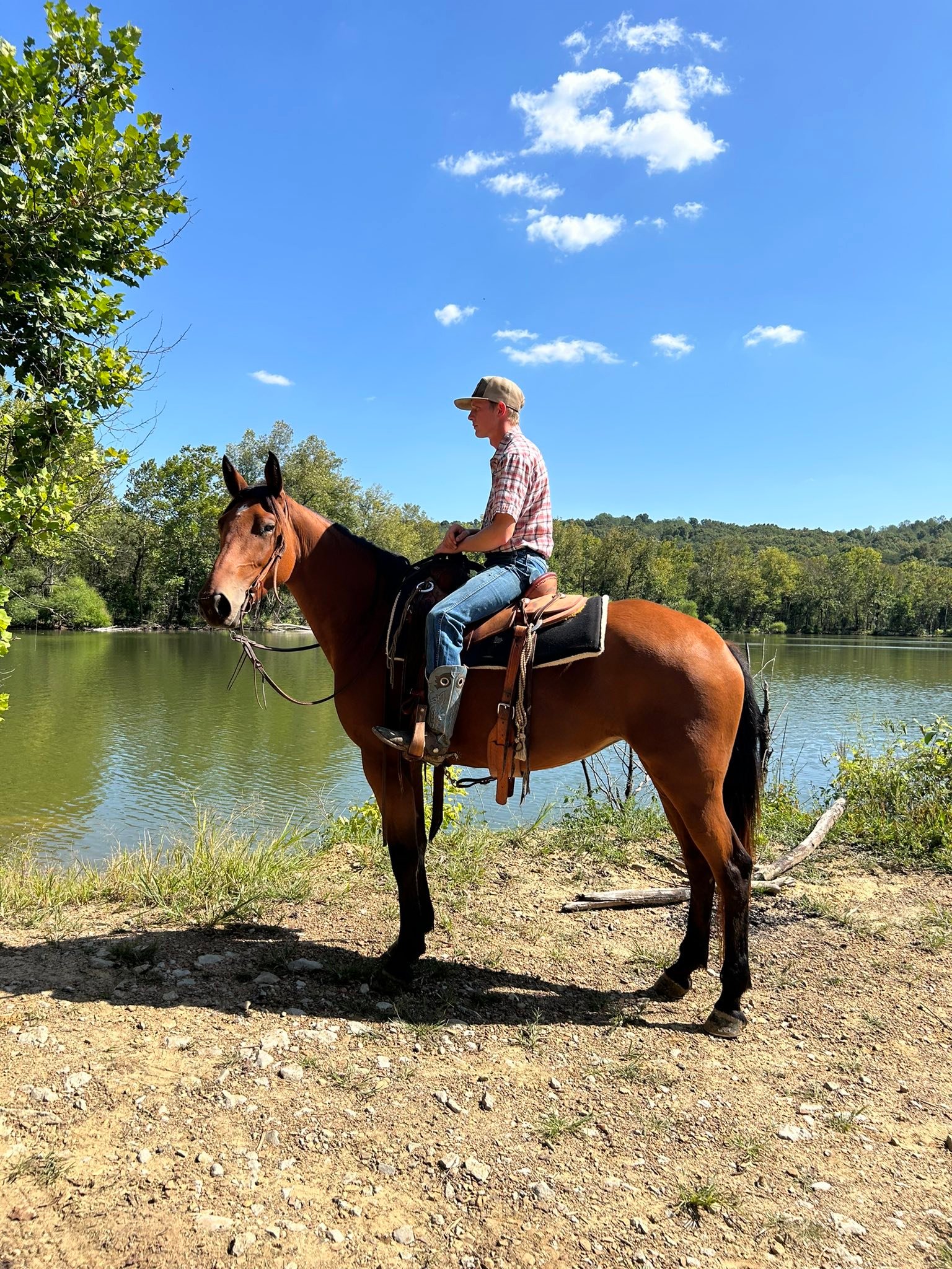 Quarter Circle D Ranch