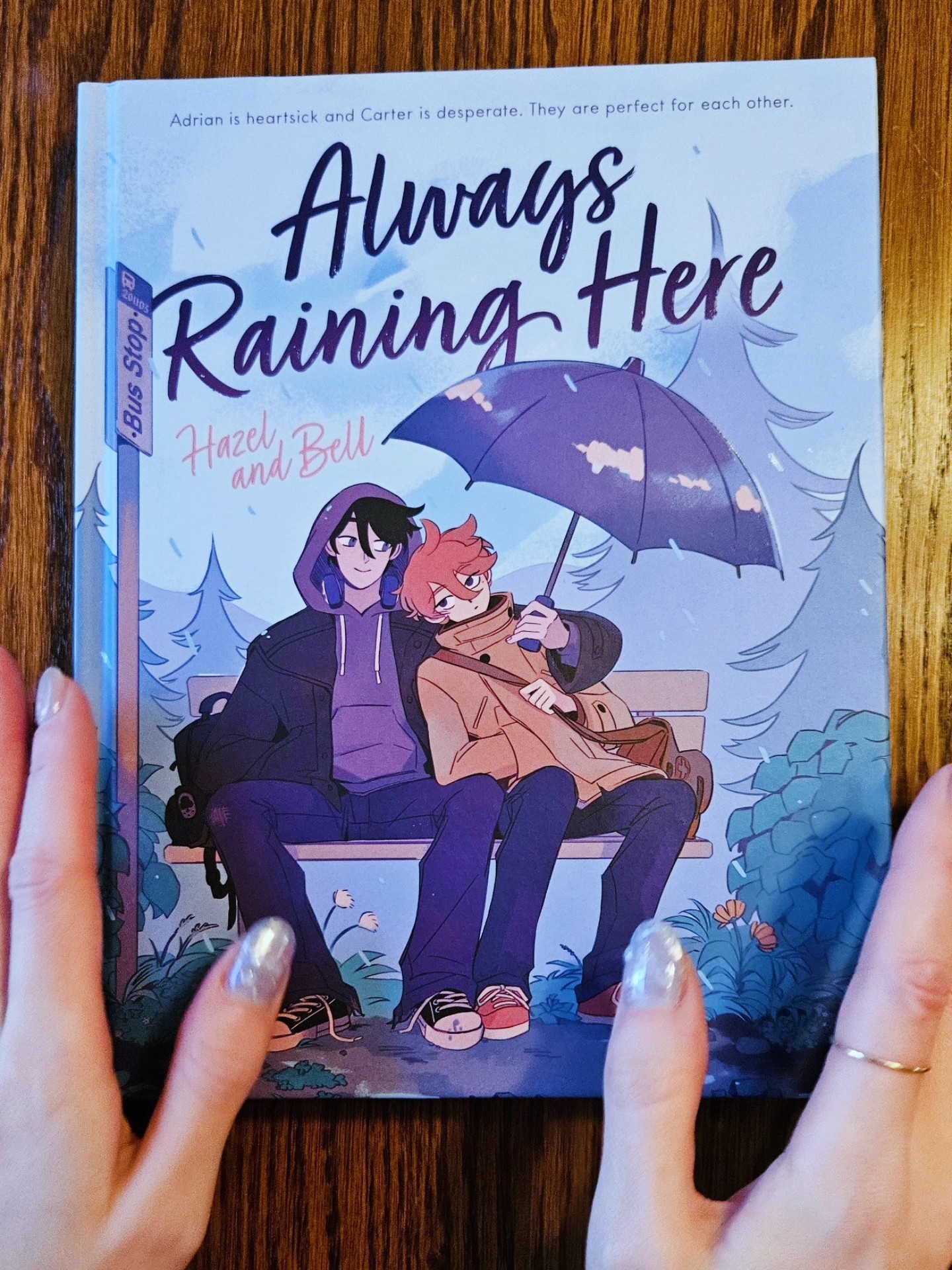 Always Raining Here