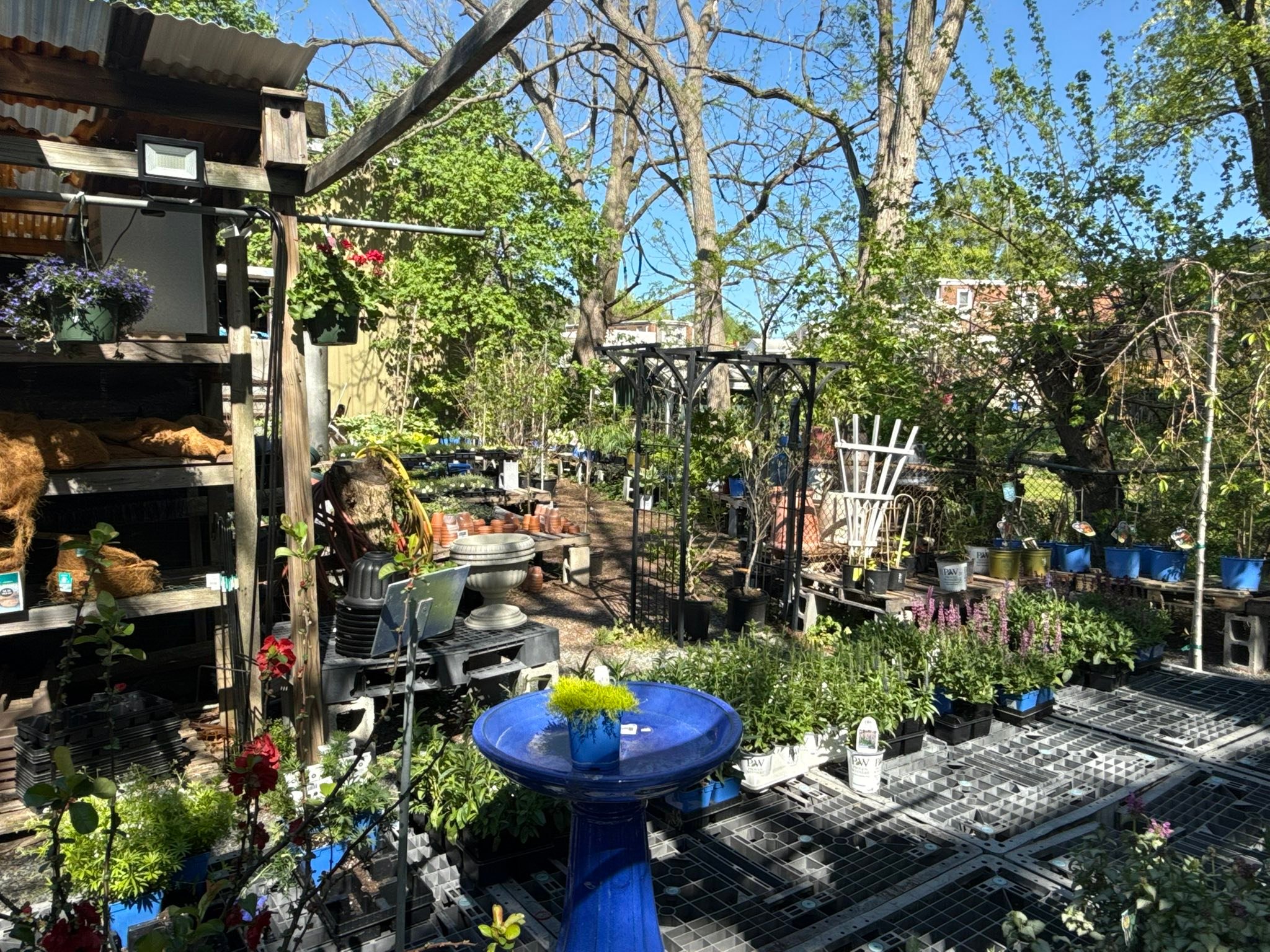 The Secret Garden | Philadelphia PA