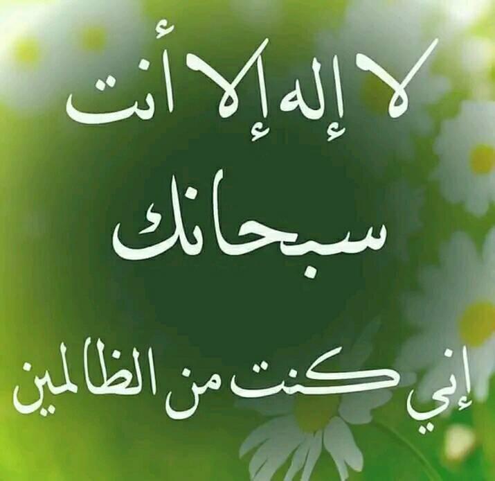 محبو - السماء بغير عمد ترونها.. من رفعها ؟! بالكواكب.. من زينها ...
