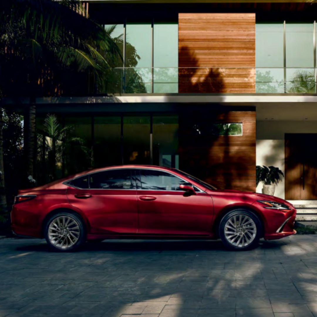 FOX - Sleek lines, bold presence, and a grille that means business. 😎 ...