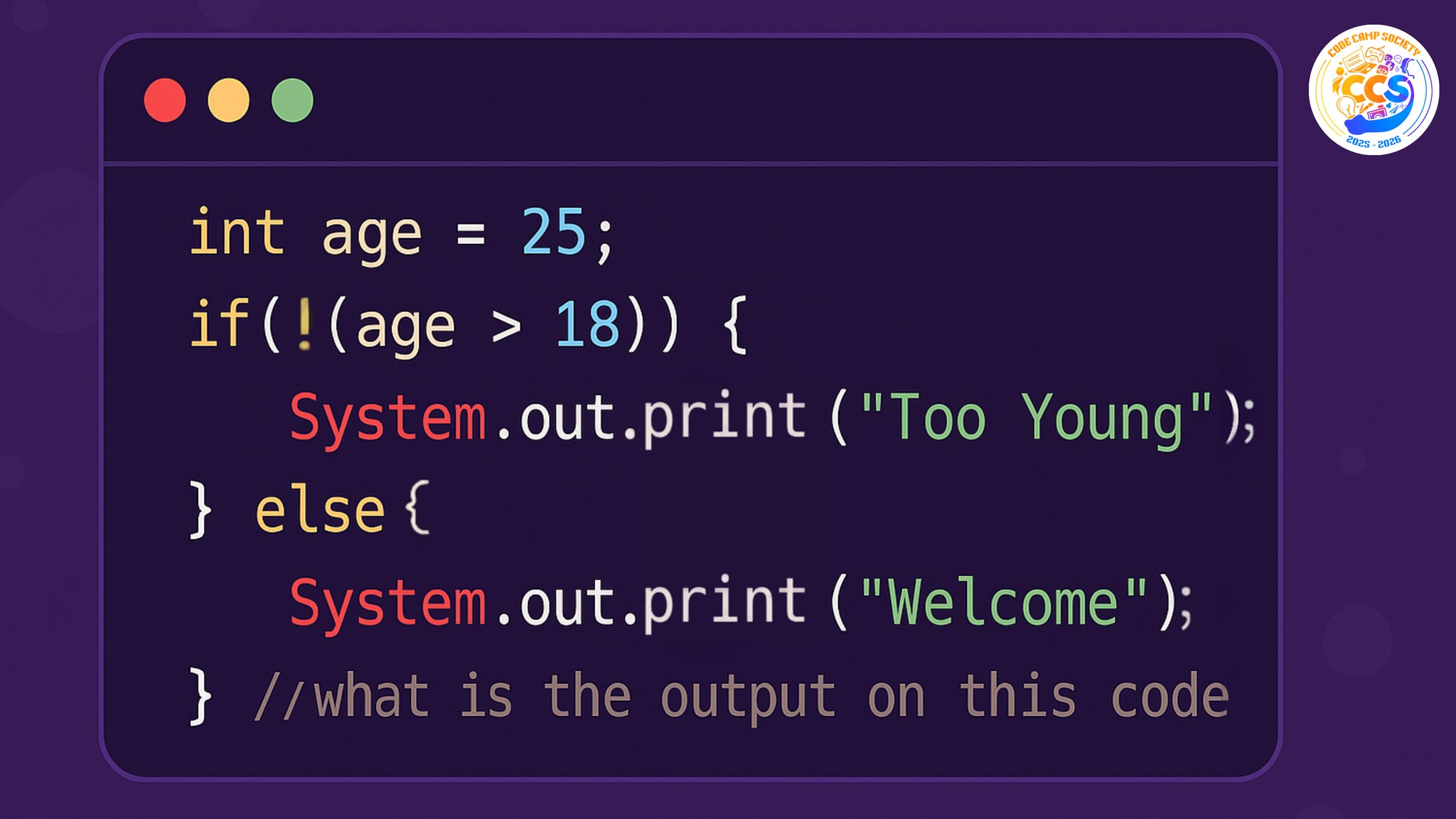 Code Camp Society