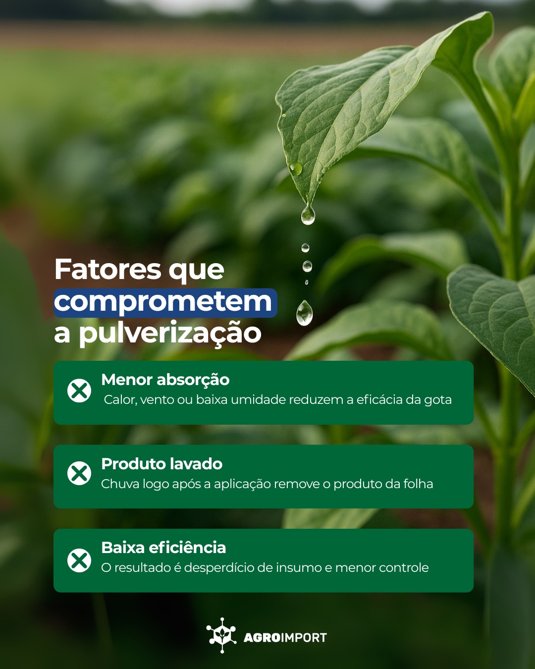 Agroimport | Porto Alegre RS