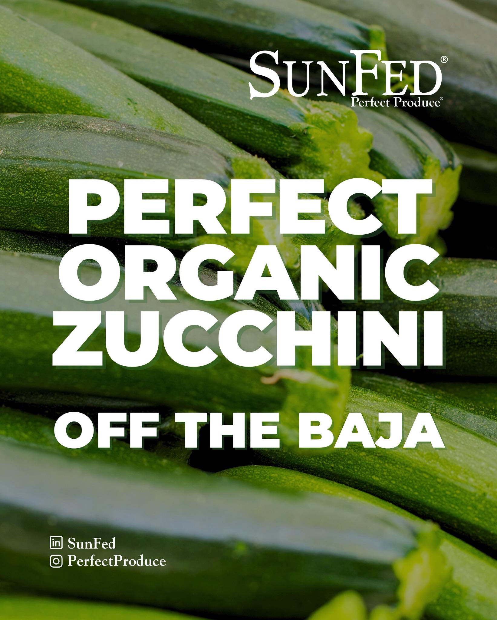 SunFed | Rio Rico AZ