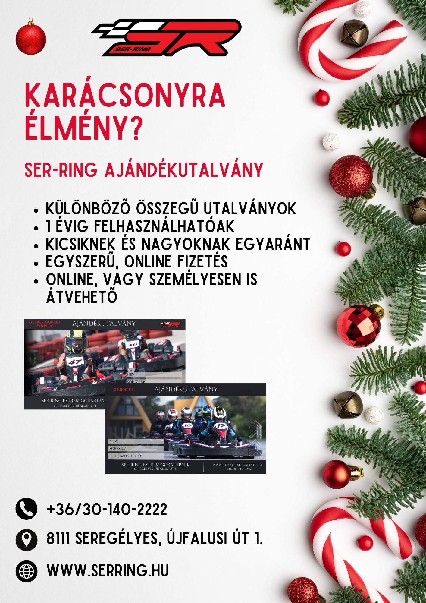 SER-Ring az extrém... - SER-Ring az extrém gokartpark