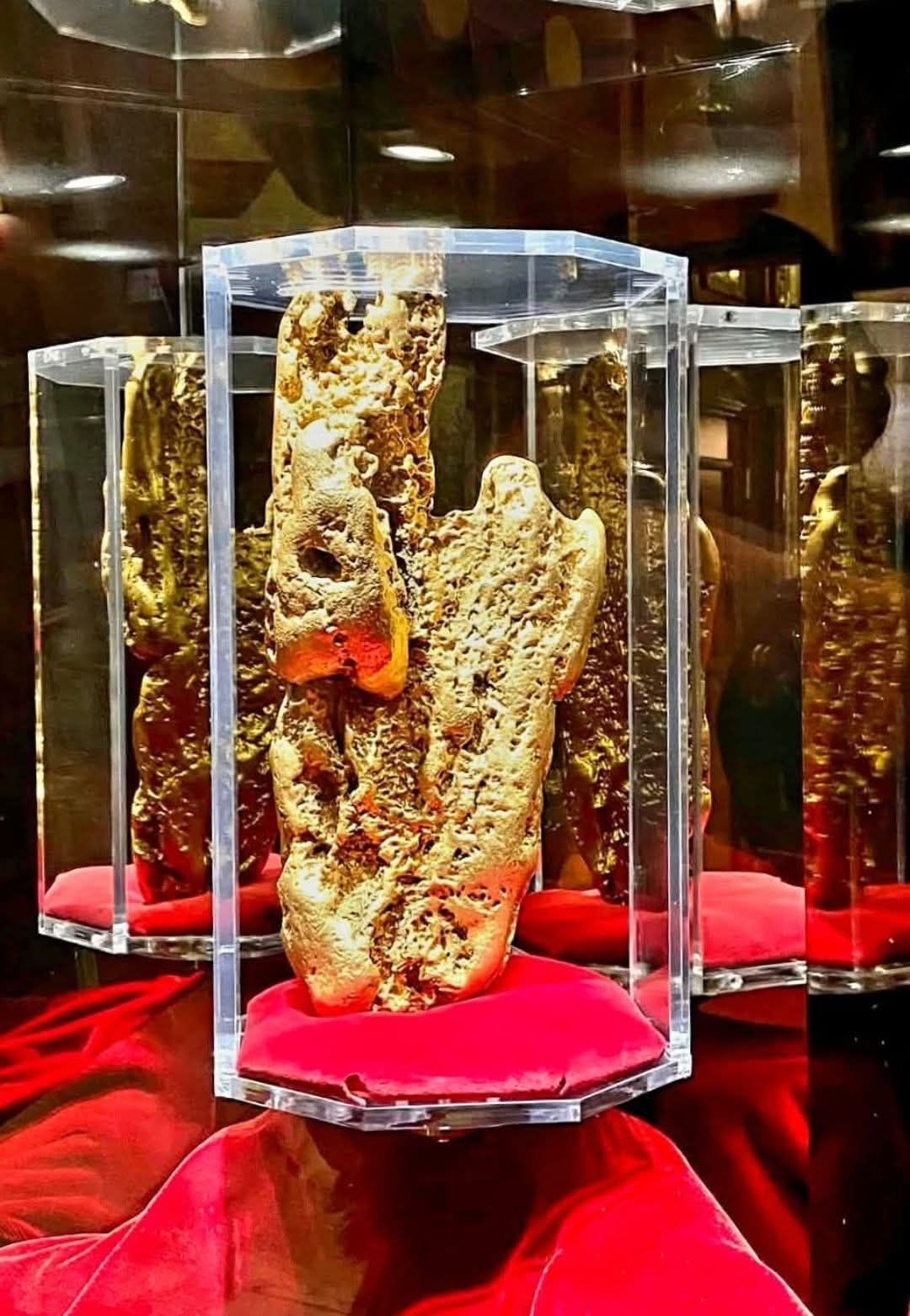 Worlds Largest Gold Nugget, 60 lbs, on display at the Golden