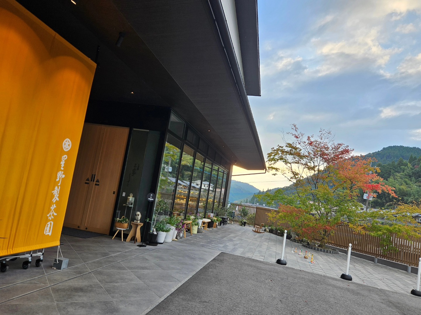 株 星野 製 茶園
