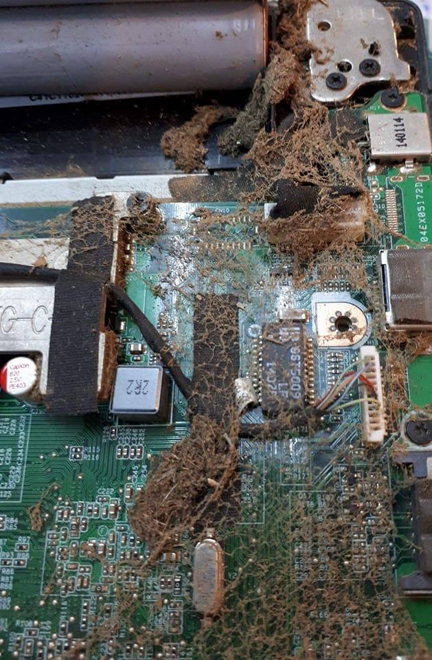 Pening dengan masalah... - Computer Repair Seremban | Facebook