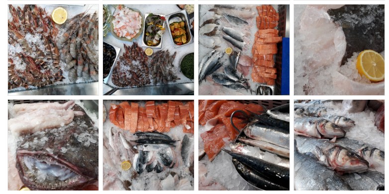 Peshk Vlora - Elsi Fish Shop Seafood - Tel: +355686487813 | Tirana