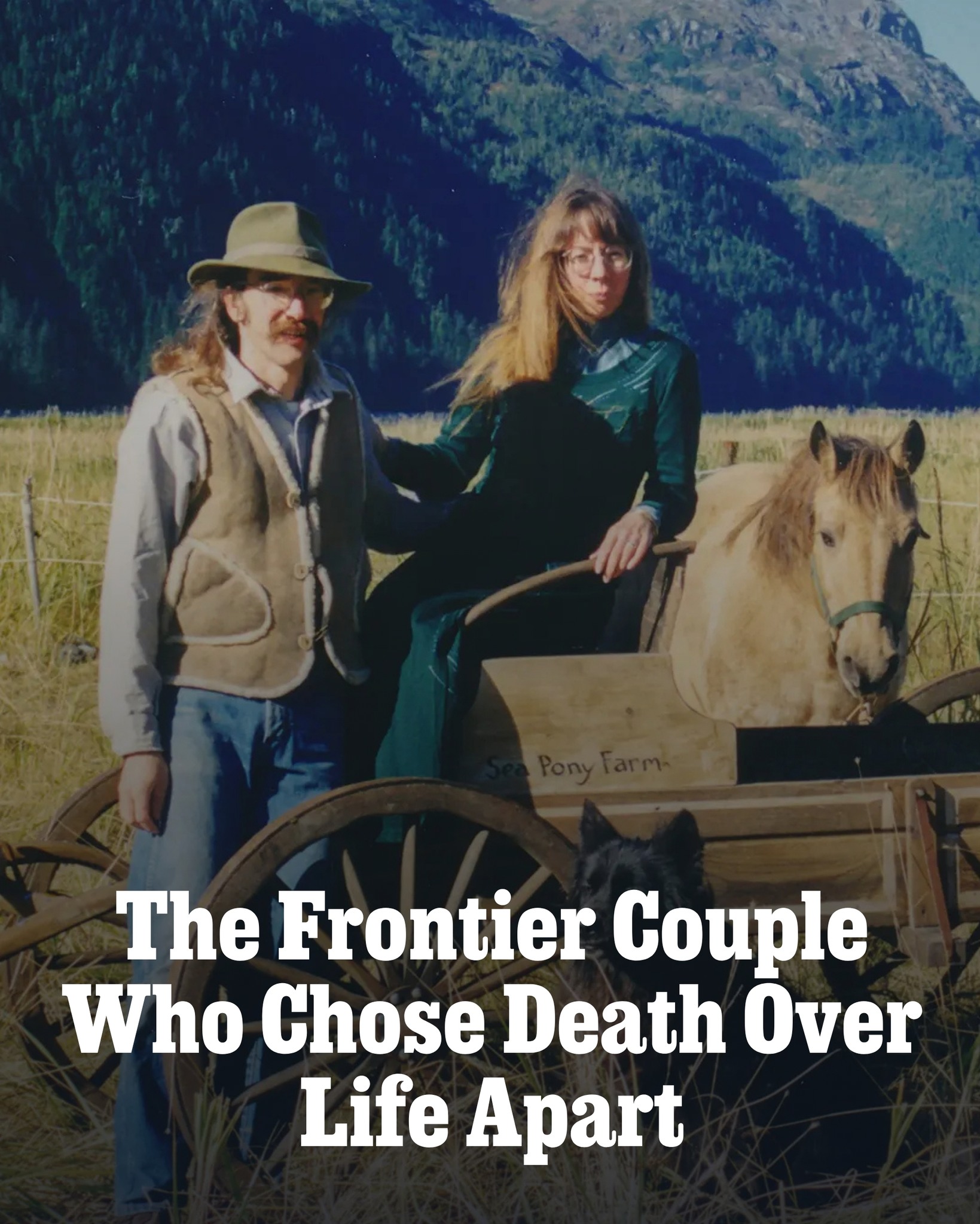 Artist Eric Bealer was living the remote, rugged good life in 